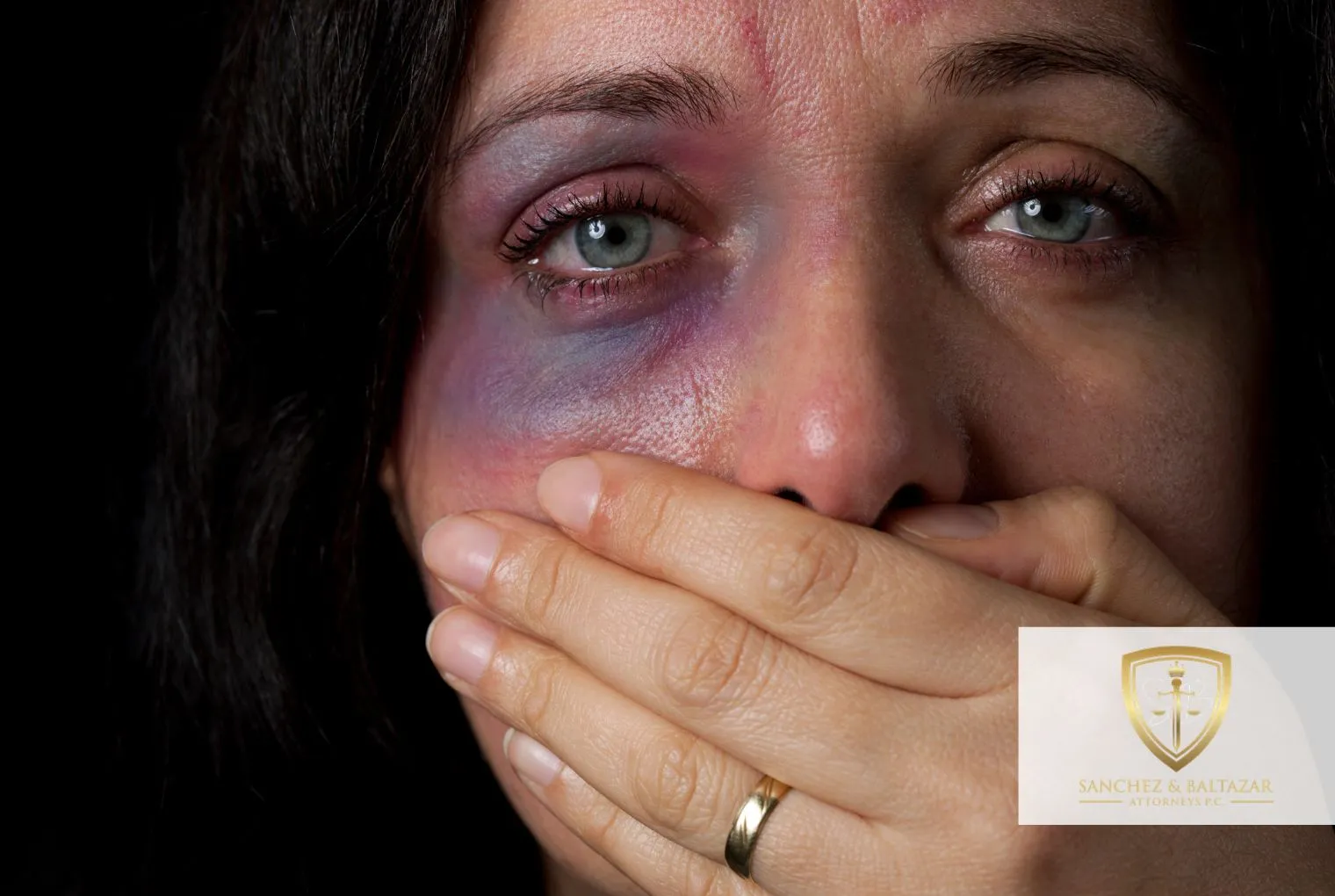 ley de violencia doméstica
